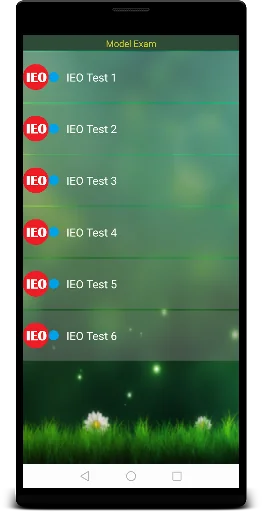 IEO 2 English Olympiad screenshot 2