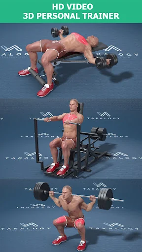 Gym Workout - Build Muscle