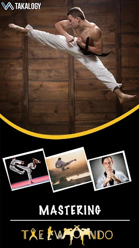 Mastering Taekwondo at Home screenshot 1