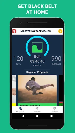 Mastering Taekwondo at Home screenshot 3
