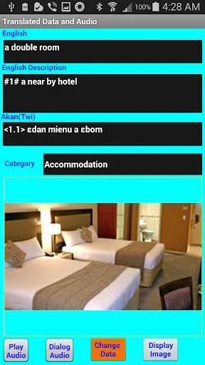 Speak Akan(twi) Language screenshot 4