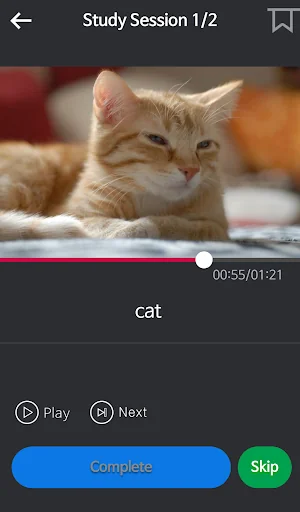 Basic English for Beginners screenshot 4