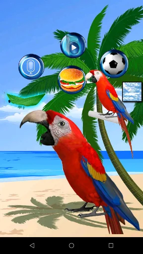 Talking Parrot 2 screenshot 1