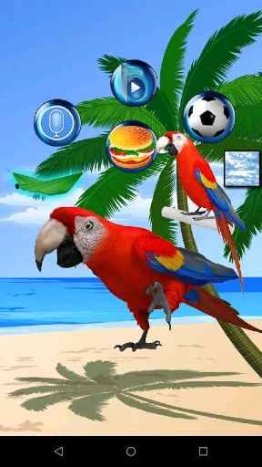 Talking Parrot 2 screenshot 2