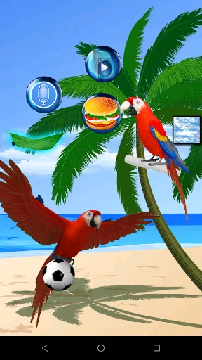 Talking Parrot 2 screenshot 3