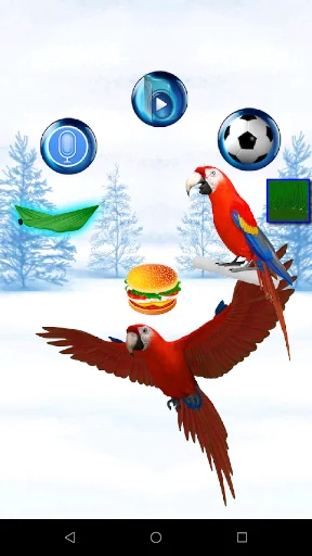 Talking Parrot 2 screenshot 4