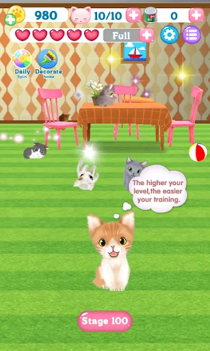 Kitten Bubble