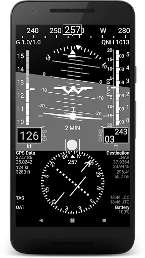 A-EFIS black & white screenshot 1