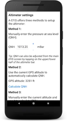A-EFIS black & white screenshot 4