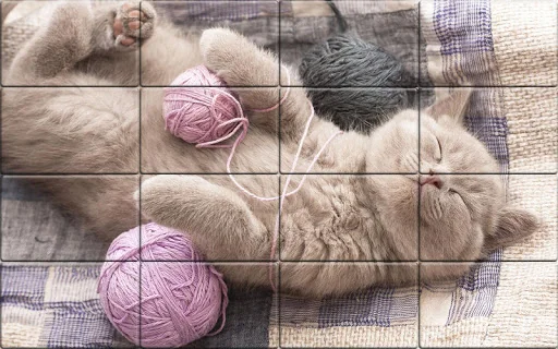 Solitaire Cats Puzzle screenshot 1
