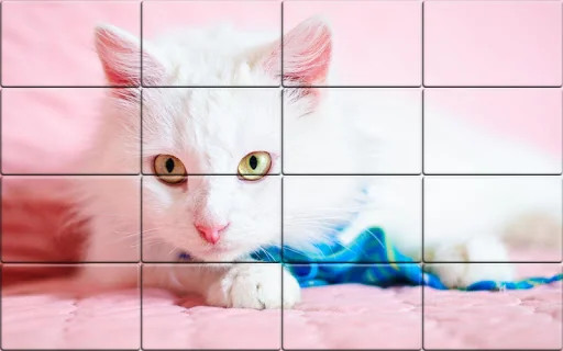 Solitaire Cats Puzzle screenshot 2