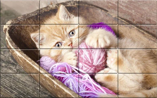 Solitaire Cats Puzzle screenshot 3