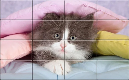 Solitaire Cats Puzzle screenshot 4