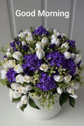 Good Morning Flowers screenshot 4