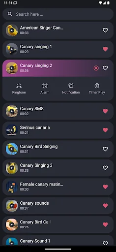 Canary Bird Sounds screenshot 1
