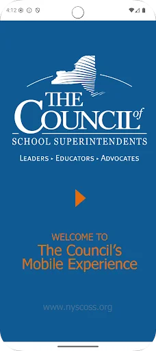Council's Mobile Experience