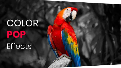 Color Pop Effects Photo Editor