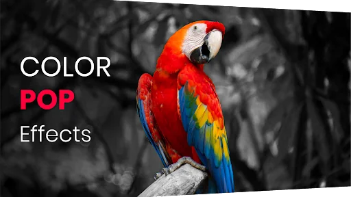 Color Pop Effects Photo Editor