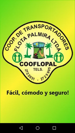 Flota Palmira