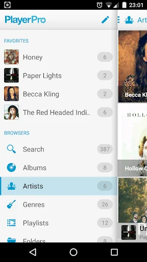 PlayerPro Cloudy Skin screenshot 4