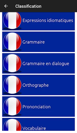 Learn French quickly 🇫🇷 screenshot 3