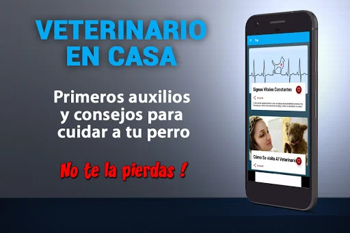 Veterinario En Casa - Perros
