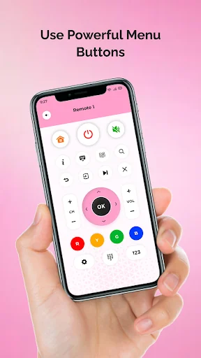 Remote for Brandt TV screenshot 2