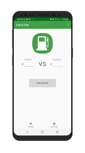 Car Flex: Ethanol vs Gasoline