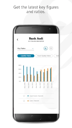 Bank Audi IR screenshot 3