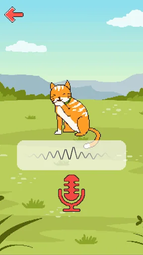 Cat Translator joke screenshot 1