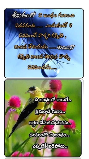1000+ Thoughts Life Garden