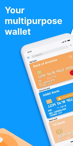 Gift & Credit Card Wallet