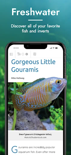 Tropical Fish Hobbyist
