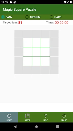 Magic Square Puzzle