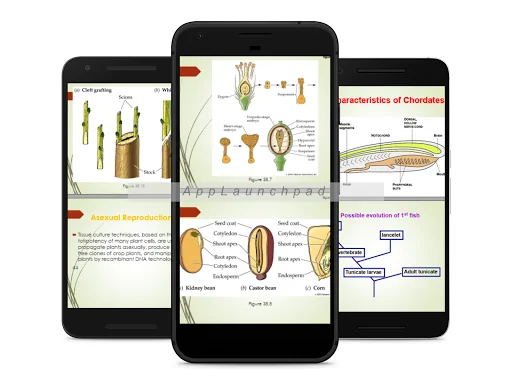 Biology Form 3 Notes +Diagrams