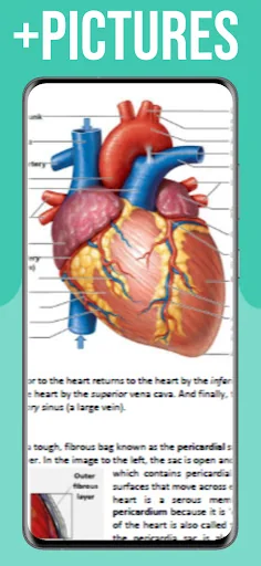 Grade 10 Biology Notes CBC CBE screenshot 3
