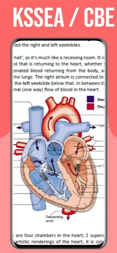 Grade 10 Biology Notes CBC CBE screenshot 4