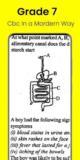 Grade 7 Cbc Science Exams+ Ans