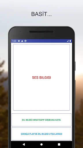 Ses Bilgisi (Olayları)