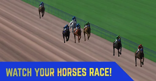 Stable Champions