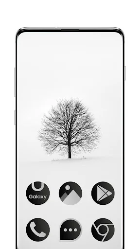 Black & White Theme