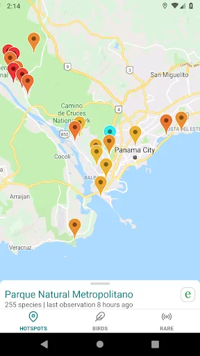 GoBird - Guide to Nearby Birds screenshot 1