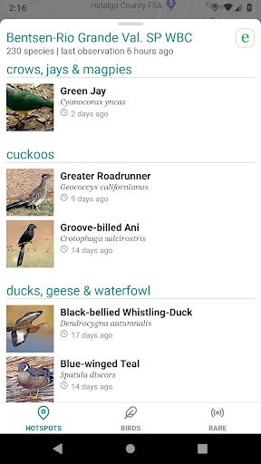 GoBird - Guide to Nearby Birds screenshot 2