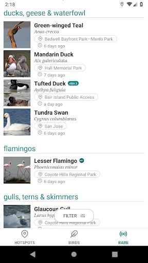 GoBird - Guide to Nearby Birds screenshot 3
