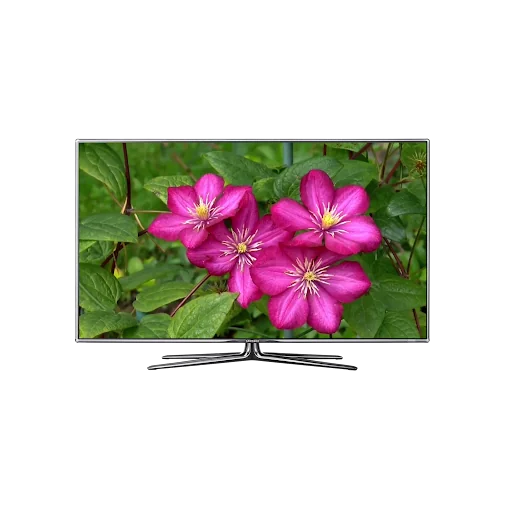 Flowers π» on Chromecast