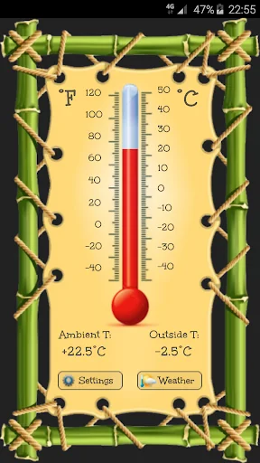 Thermometer