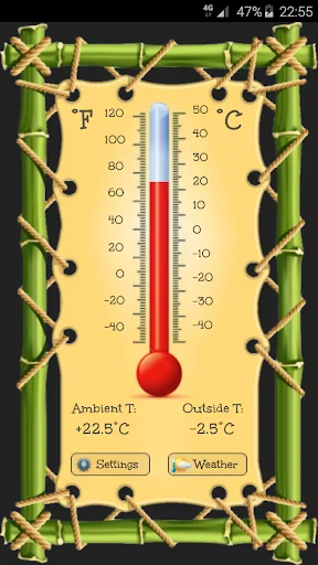 Thermometer