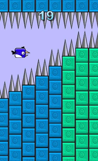 Flying Color Bird