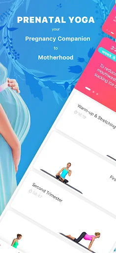 Prenatal Pregnancy Yoga Pilate