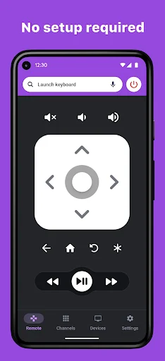 RoByte: Roku TV Remote Control screenshot 1